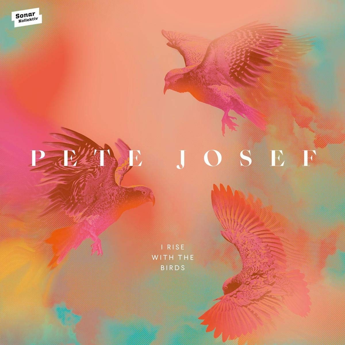 pop 02 21 Pete Josef