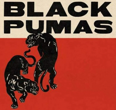 POP Spotlight 10-2020 Black Pumas Premium